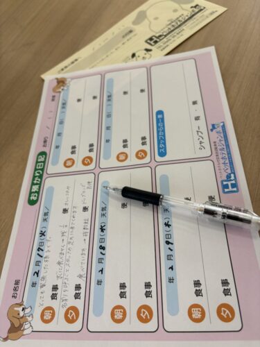 常滑ペットホテル|宿泊中の様子を記録したお預かり日記の記入例