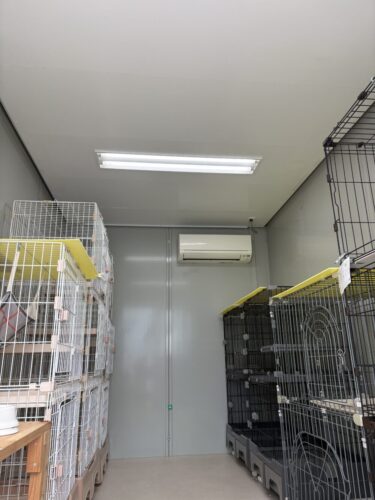 猫専用の建物で静かに過ごせるペットホテルジャンボの猫部屋（常滑）