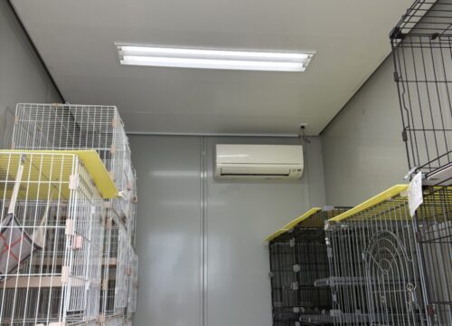 猫専用の建物で静かに過ごせるペットホテルジャンボの猫部屋（常滑）